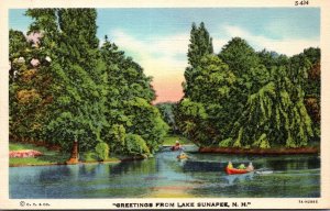 New Hampshire Greetings From Lake Sunapee Curteich