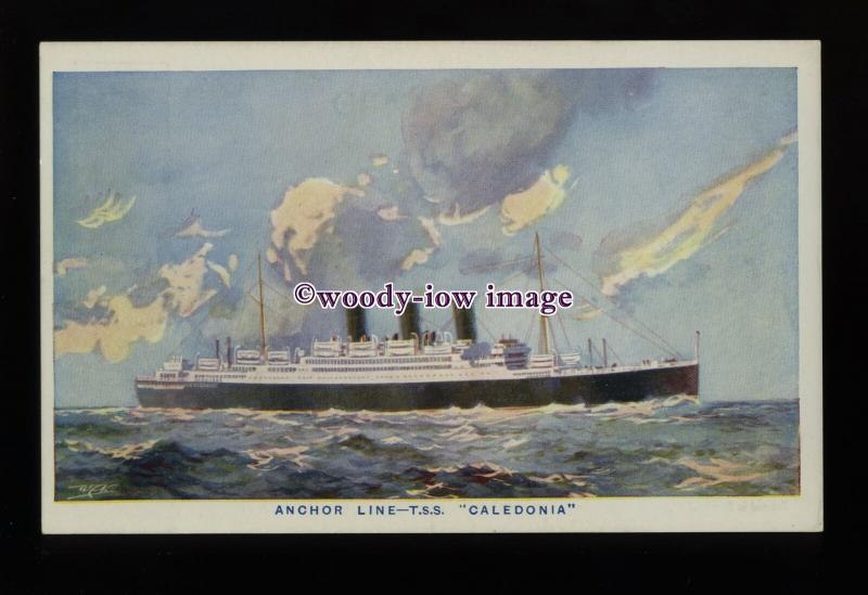 LS1441 - Anchor Line Liner - Caledonia - postcard - artist