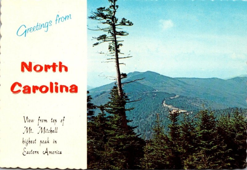 North Carolina Mt Mitchell View Looking South Towards Mount Hallback