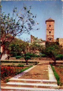 VINTAGE CONTINENTAL SIZE POSTCARD CITY OF RABAT MOROCCO 1955