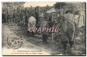 Old Postcard Folklore Wine Vintage Champagne Vineyards in Champagne Dresses P...