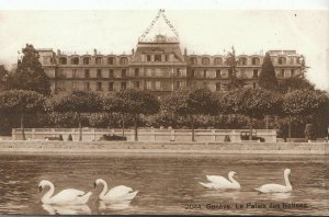 Switzerland Postcard - Geneve - Le Palais Des Nations - Showing Swans   ZZ2347