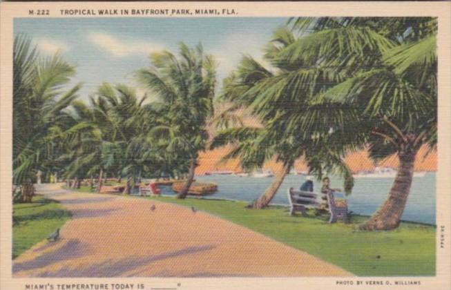 Florida Miami Tropical Walk In Bayfront Park Curteich
