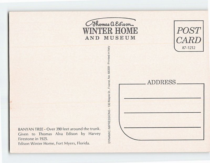 Postcard Banyan Tree, Edison Winter Home, Fort Myers, Florida