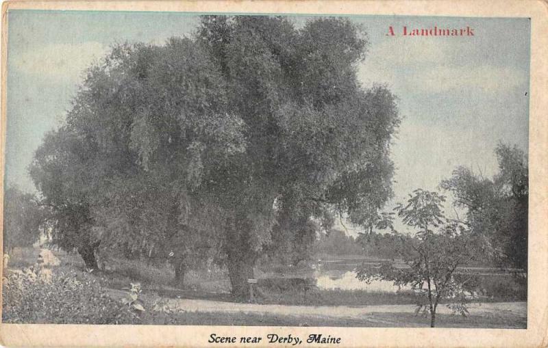 Derby Maine Scenic View Antique Postcard J52612