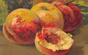 BR44276 fruits fructs paint peintures