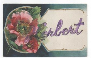 Vintage German Name Postcard Herbert unused