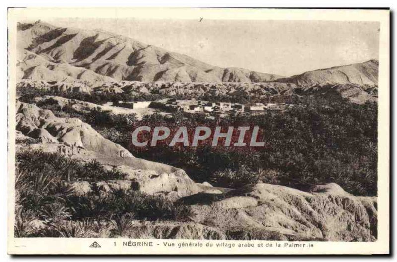 Old Postcard Negrine Vue Generale Arab village and the Palmeraie