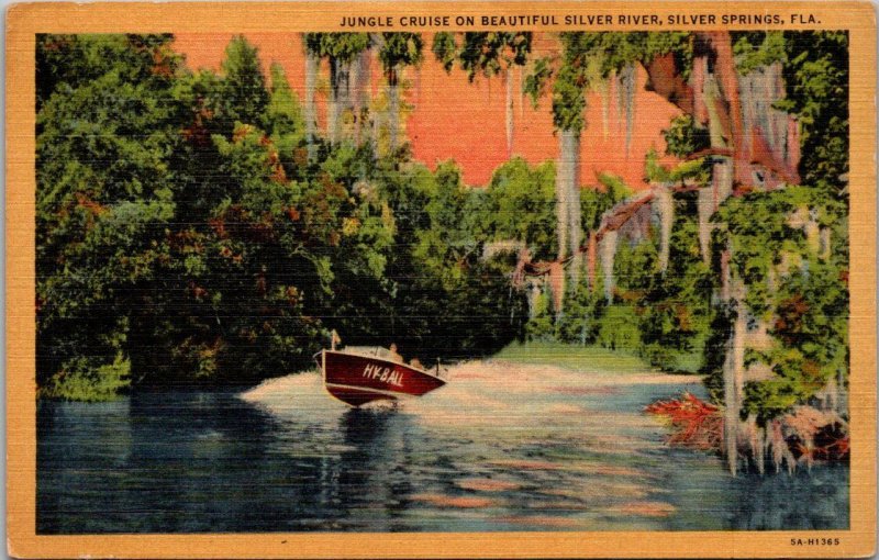 Florida Silver Springs Jungle Cruise On The Silver River Curteich