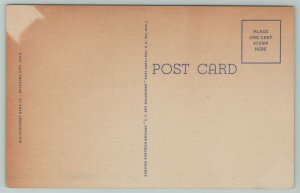 Oklahoma City~Skirvin Tower Building~Vintage Postcard