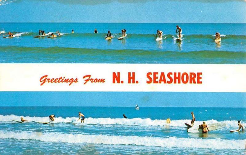 New Hampshire Seashore Surfing Recreation Multiview Vintage Postcard K62800