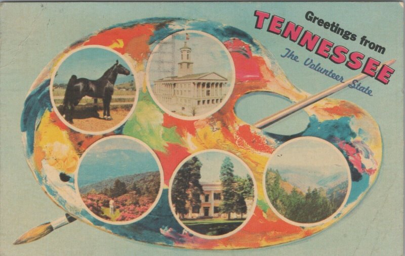 c1960s Greetings From Tennessee artist palette 5 scenic views postcard C955 
