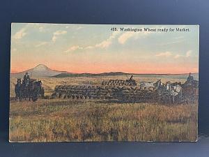 Postcard  Hand Tinted View of Washington Wheat ready for Market.    U2