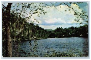 1954 Scenic View Lake Greetings From Albert Lea Minnesota MN Vintage Postcard