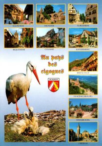 France Images d'Alsace Les pays des Cigognes Strasbourg & More