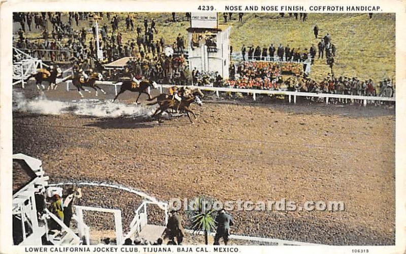 Coffroth Handicap, Lower California Jockey Club Tijuana, Baja Cal, Mexico Hor...