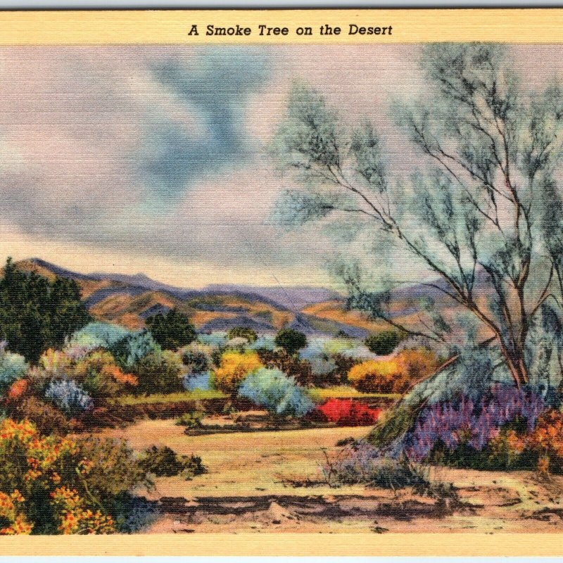 1934 Pub. Tucson / Phoenix, AZ Smoke Tree Color Desert Linen PC Lollesgard A286