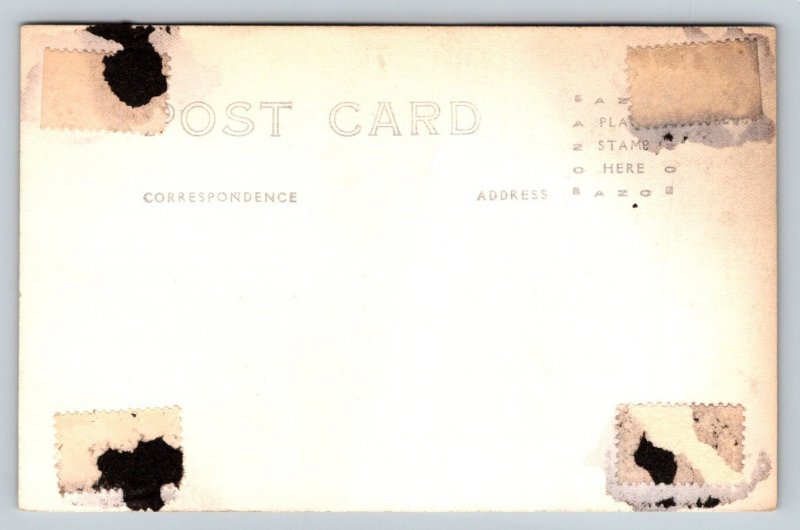 RPPC  Glacier National Park  Canada    Postcard