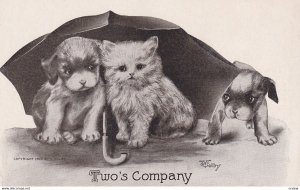 Two's Company Puppy dog and Kitty Cat under an umbrella, Puppy watching, 1909