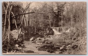 Waterfall At Silvermine Connecticut Forest Trees View RPPC Real Photo Postcard