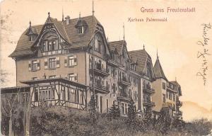 B22562 Freudenstadt Kurhaus Palmenwald