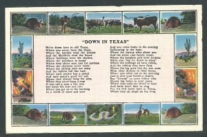Down in Texas