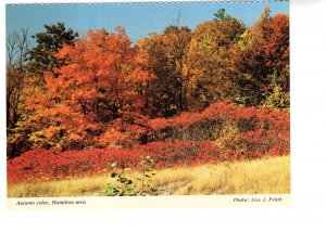 Autumn Colour, Hamilton Area, Ontario, Spectator Newspaper