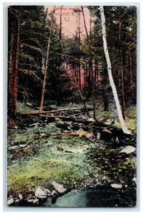 1907 View of Horne Brook Dover New Hampshire NH Antique Posted Postcard