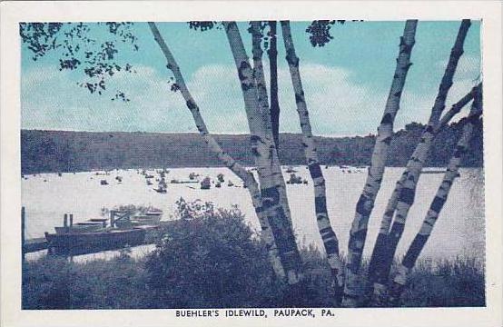 Pennsylvania Paupack Buehlers Idlewild