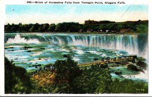 New York Niagara Falls Brink Of Horseshoe Falls From Terrapin Point