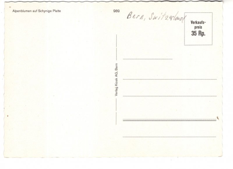 Purple Flowers, Bern, Switzerland