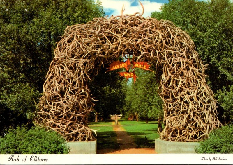 Wyoming Jackson Hole  Arch Of Elkhorns