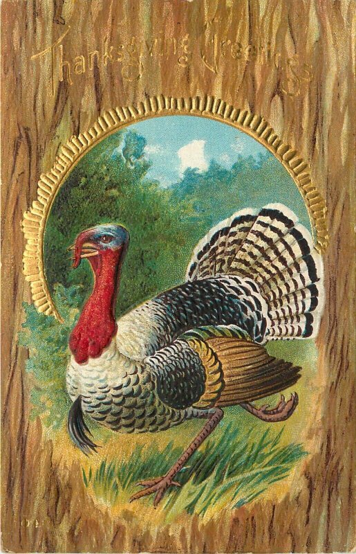 Nash Embossed Thanksgiving Postcard No.20; Running Wild Turkey, Posted