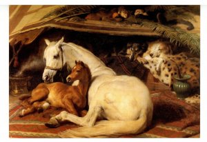 The Arab Tent    Artist: Sir Edwin Henry Landseer