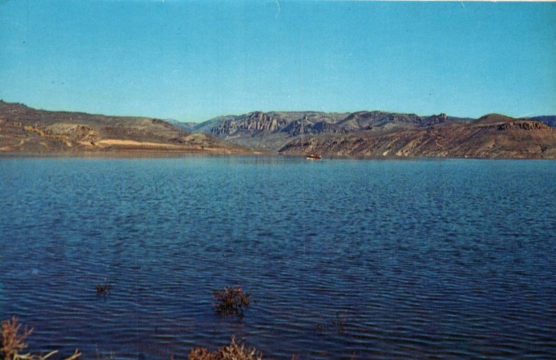 Blue Mesa Reservoir,CO BIN