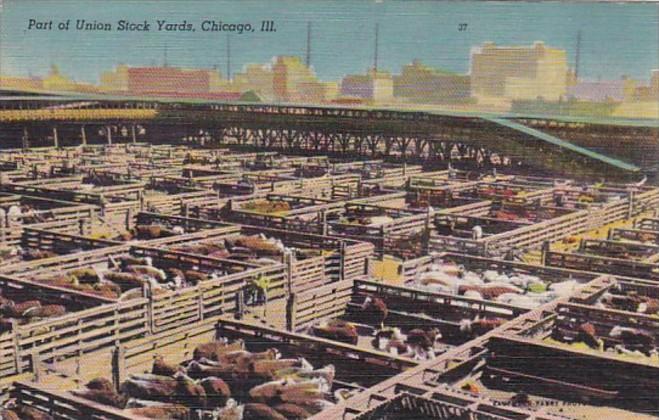 Illinois Chicago Union Stock Yards