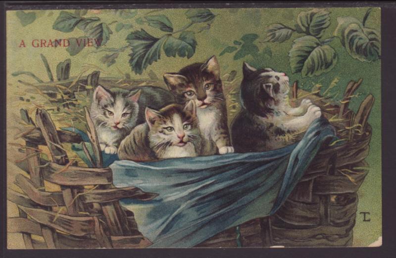 A Grand View,Basket of Kittens Postcard