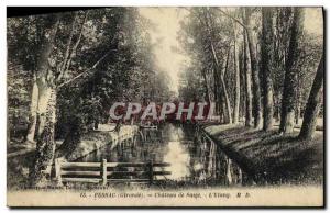 Old Postcard Pessac Saige Chateau de L'Etang