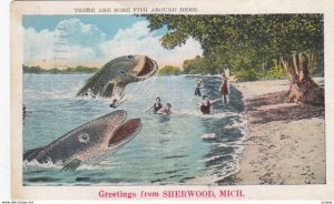SHERWOOD , Michigan , 1910s ; Fish