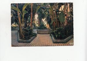 BF27978 fes palais jamai entree du patio morocco  front/back image