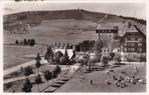 Germany Feldberg Hotel Feldbergerhof Photo