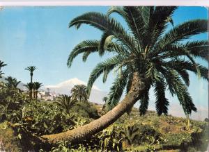 BF15235 tenerife palmeras y el teide spain  front/back image