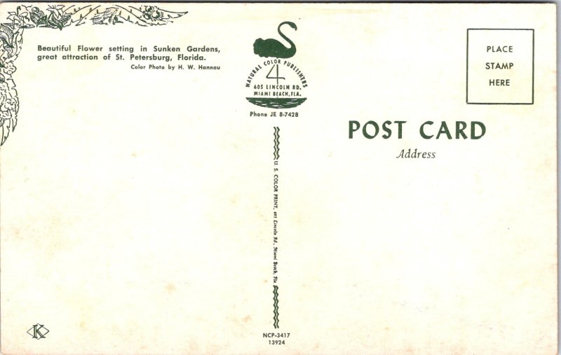Vintage Postcard Chrome Flowers Sunken Gardens St Petersburg Florida FL