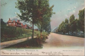 Postcard The Boulevard Williamsport PA 1906