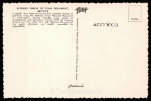 Petrified Forest National Monument