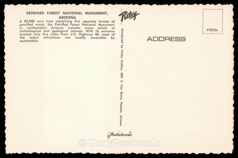 Petrified Forest National Monument