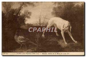 Postcard Old White Oudry Hunting dog from the pack of Louis XV Dog