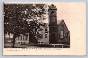 J91/ Burbank Ohio Postcard c1910 First M.E. Church Building  348