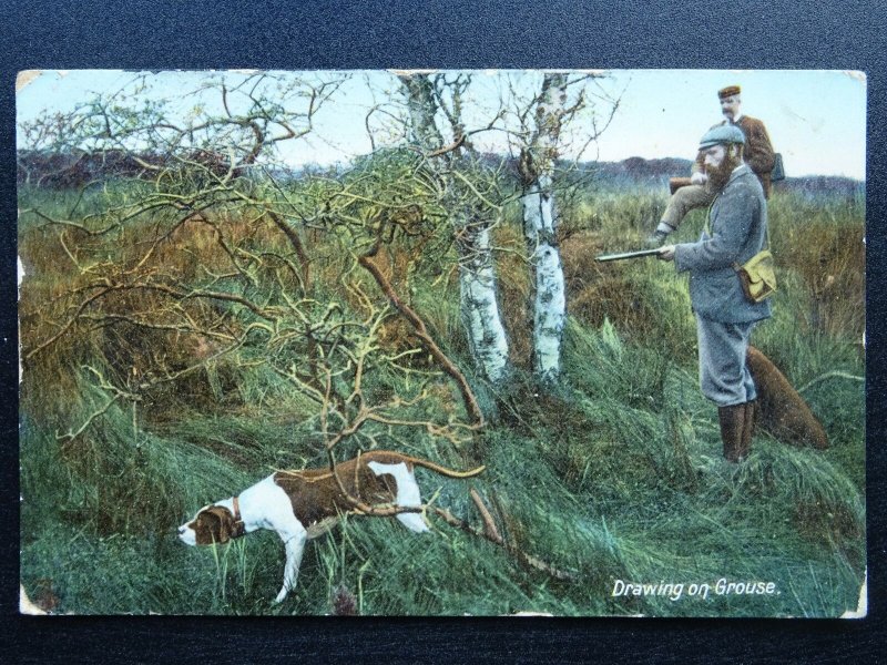 Country Life DRAWING ON GROUSE With Pointer c1909 Postcard by Woolstone Bros 653