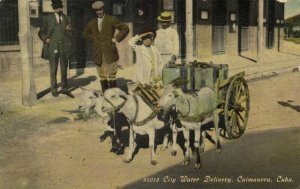 cuba, CAIMANERA, City Water Delivery by Goat Cart (1910s) Postcard